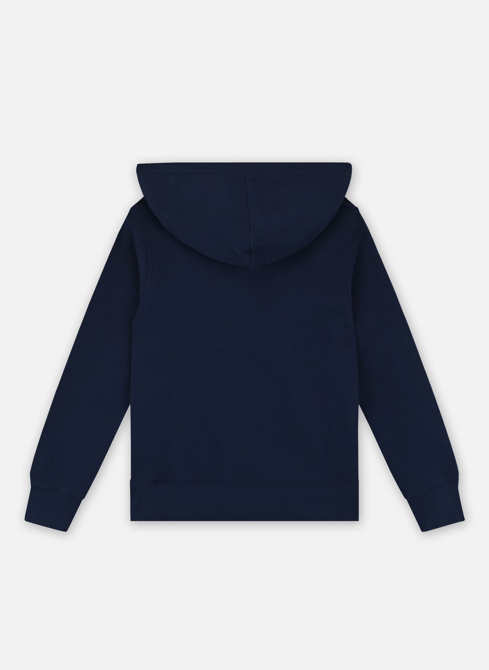 Sweats à capuche Sweat à capuche en molleton 322749954 garçon bleu Polo Ralph Lauren Sweats à capuche Sweat à capuche en molleton 322749954 garçon bleu REFINED NAVY/C1730