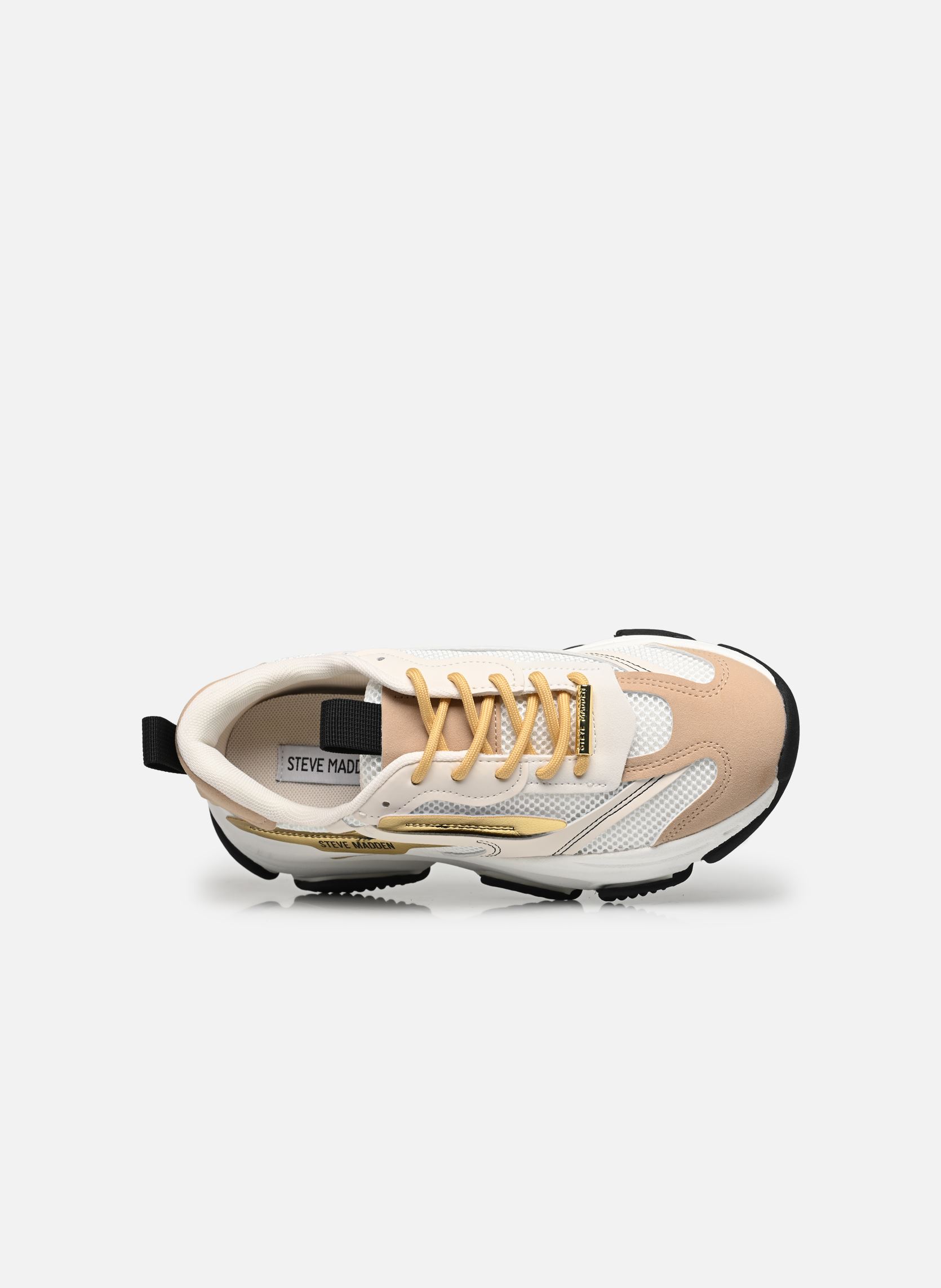 Baskets Possession-E femme multicolore Steve Madden Baskets Possession-E femme multicolore WHT/TAN