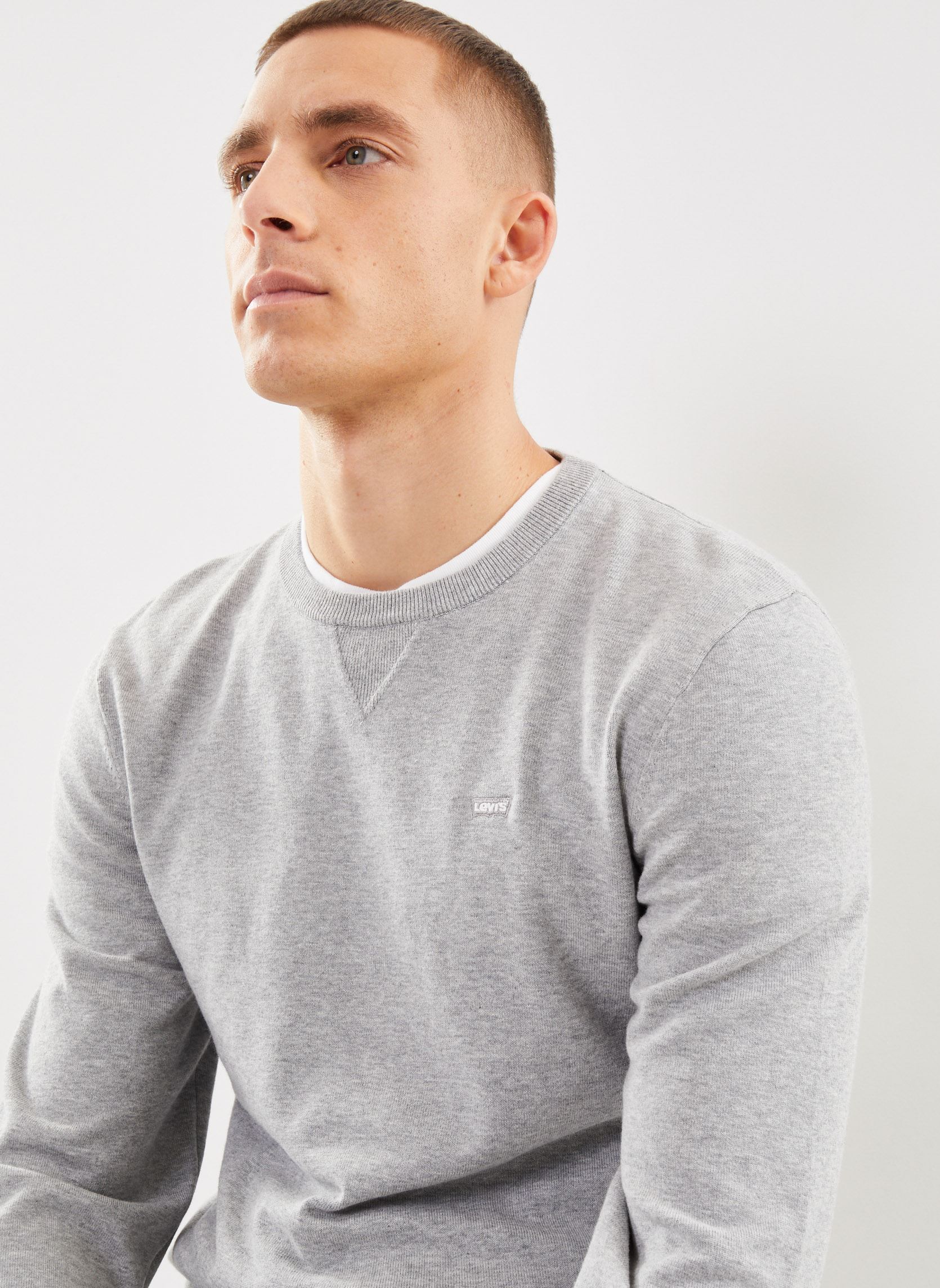 Sweatshirts LIGHTWEIGHT HM SWEATER heren grijs Levi's Sweatshirts LIGHTWEIGHT HM SWEATER heren grijs Mid Tone Grey Heathe