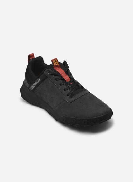Caterpillar Baskets HEX READY LOW homme gris