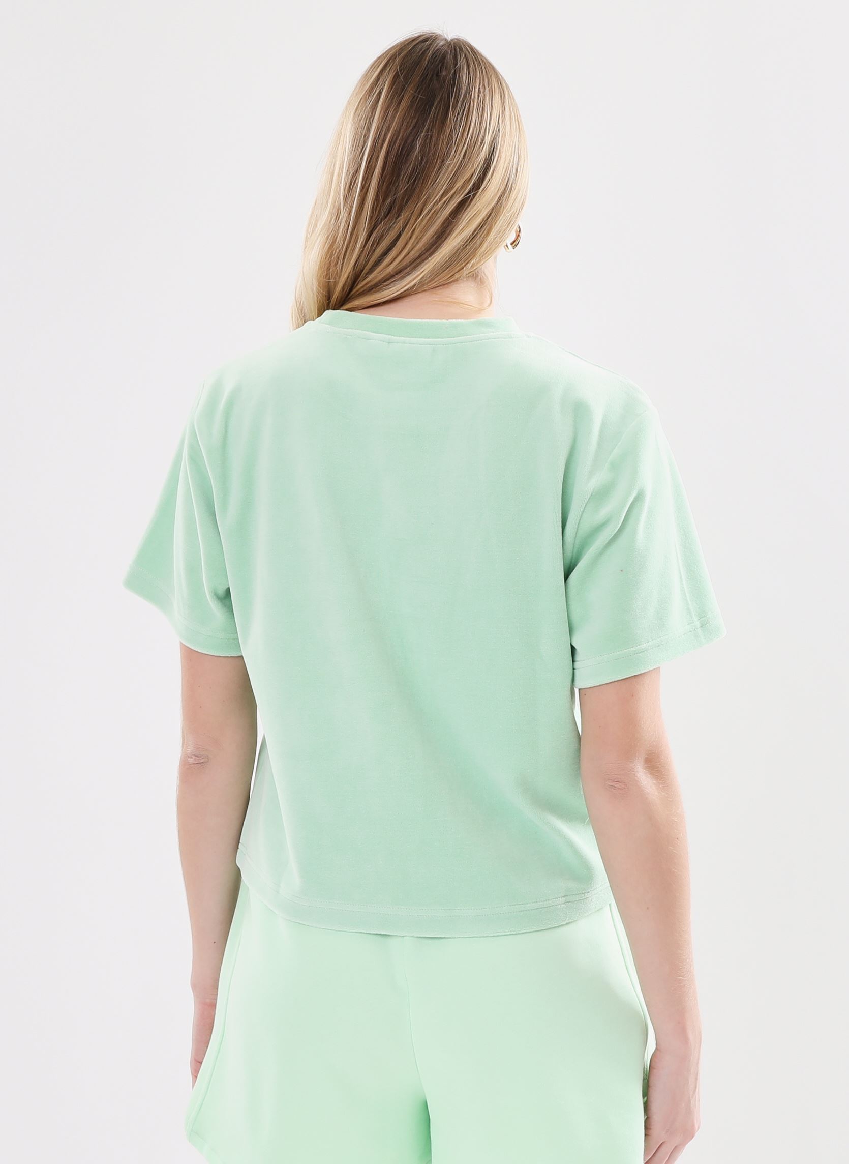 Tee-shirts manches courtes Ihnabi Ss femme vert Ichi Tee-shirts manches courtes Ihnabi Ss femme vert SPRUCESTONE
