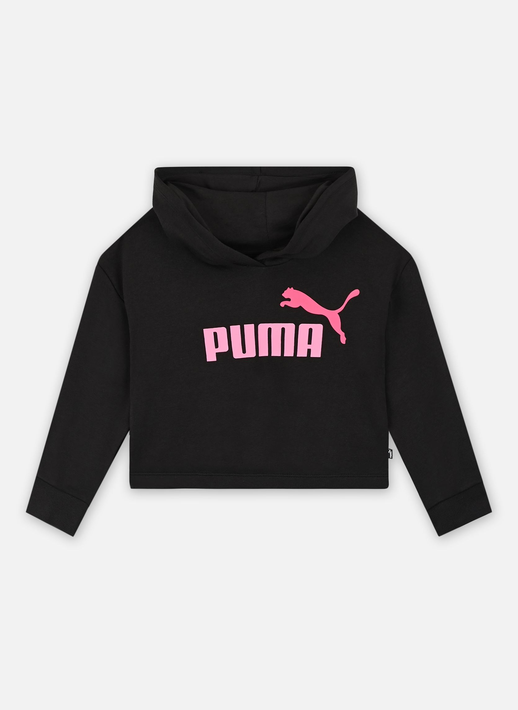 Sweat shirt enfant Puma ESS 2COLOR HOODIE US 6 - vue 2