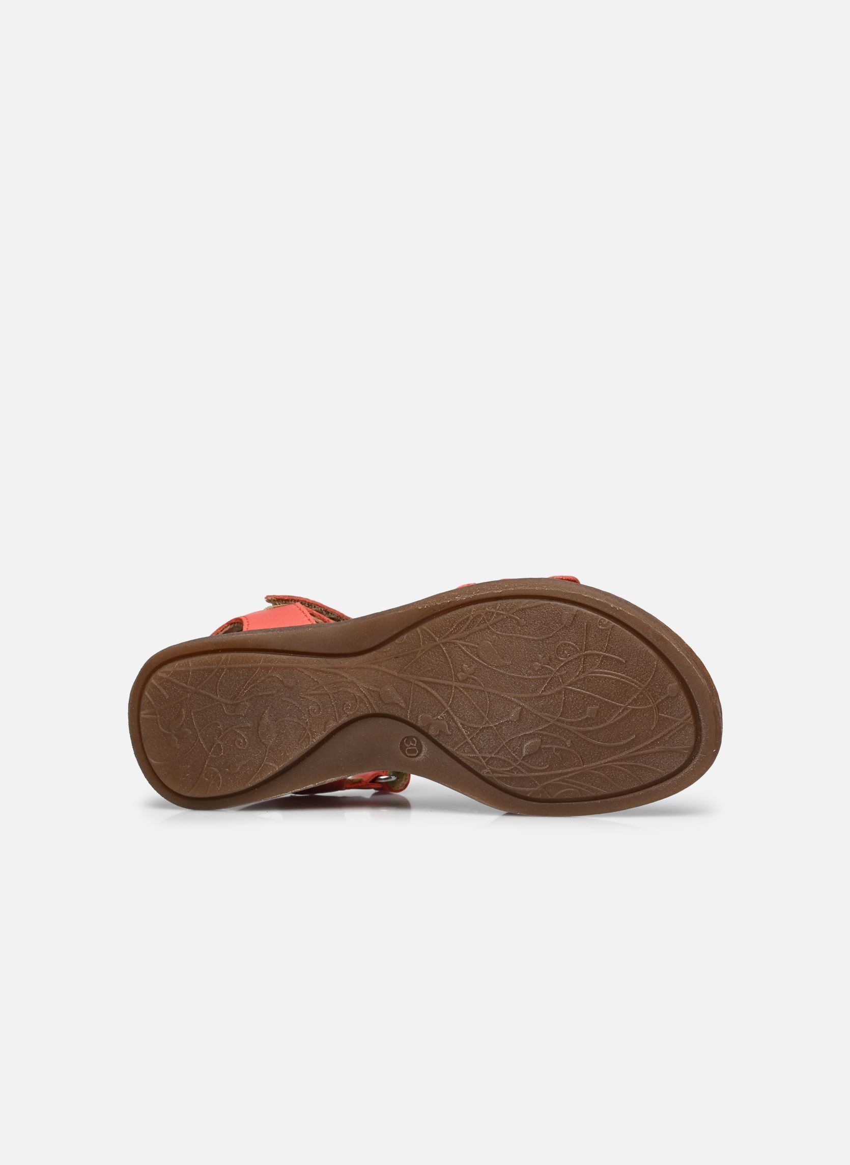 Sandalias Lore fiori niña naranja Froddo Sandalias Lore fiori niña naranja CORAL