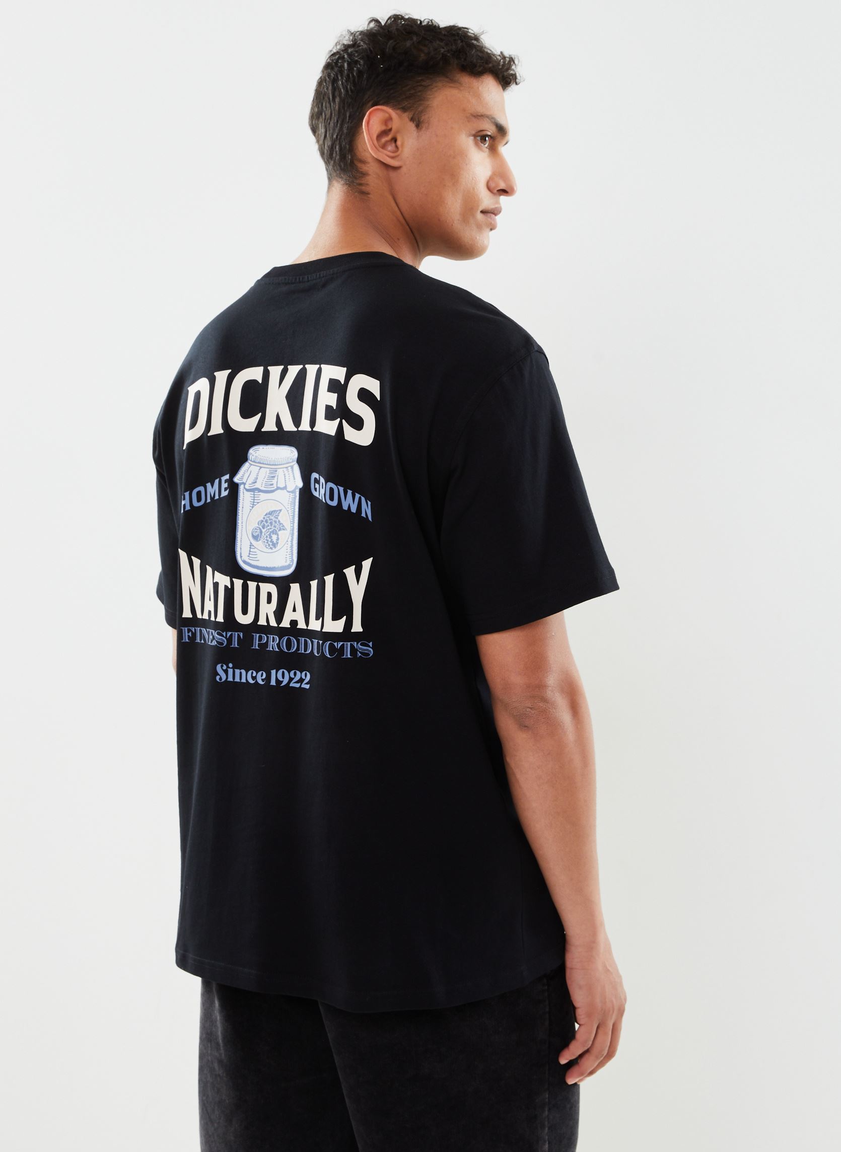 Vêtements Dickies ELLISTON Tee SS pour Accessoires