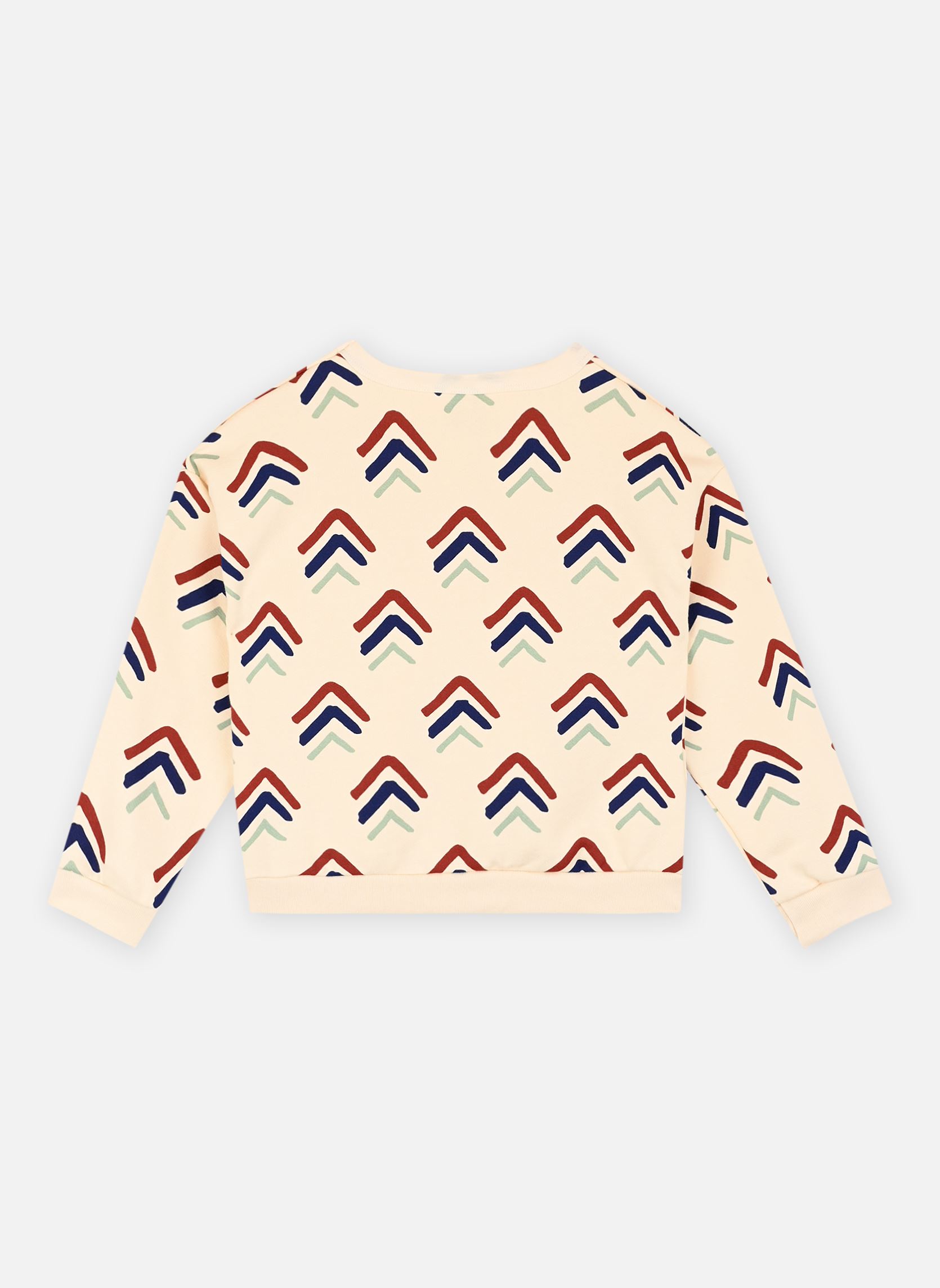 Hoodies Makar jongens wit Petit Bateau Hoodies Makar jongens wit Avalanche/Multico