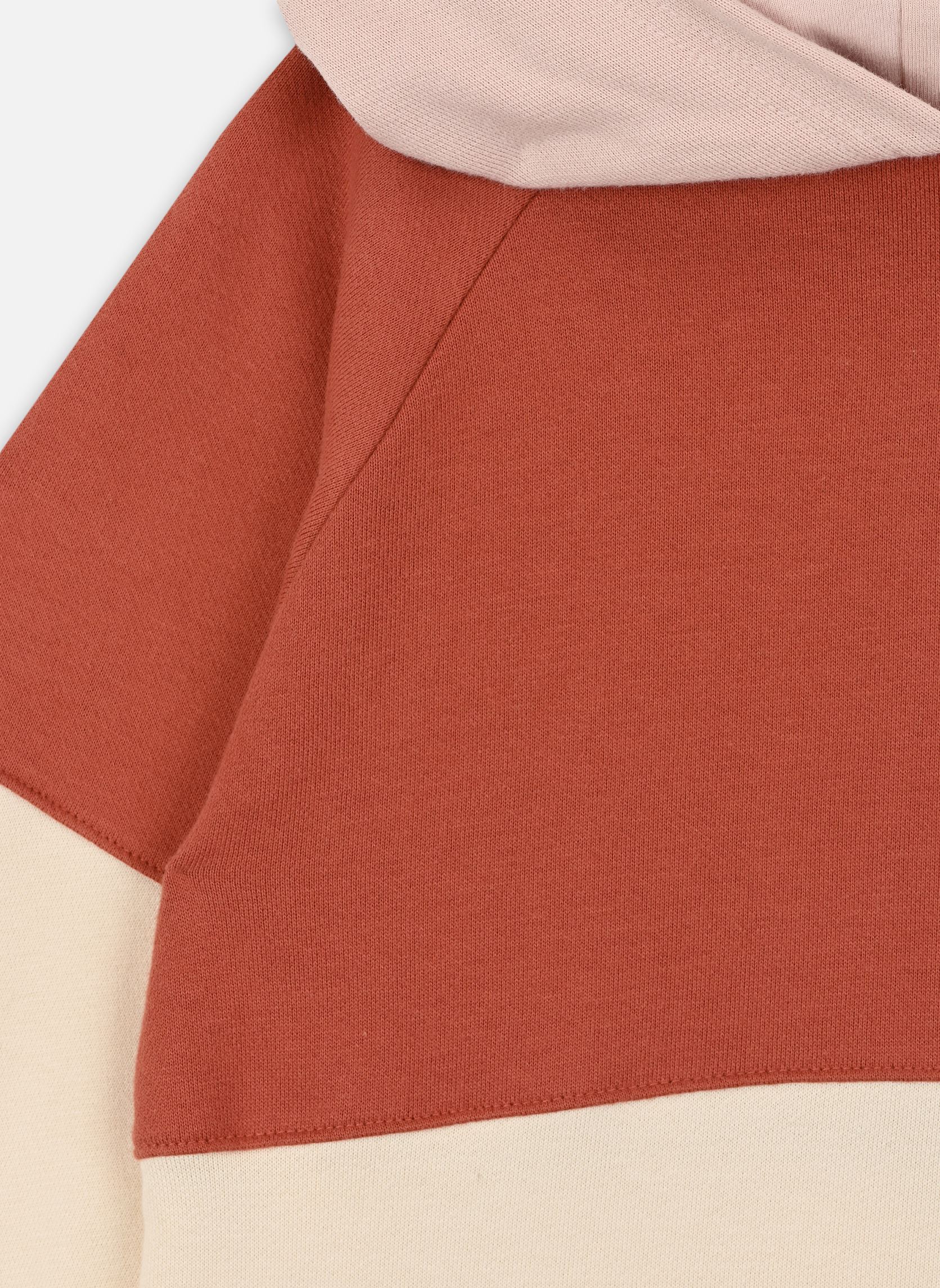 Sweats à capuche Monique fille orange Petit Bateau Sweats à capuche Monique fille orange FAMEUX/MULTICO