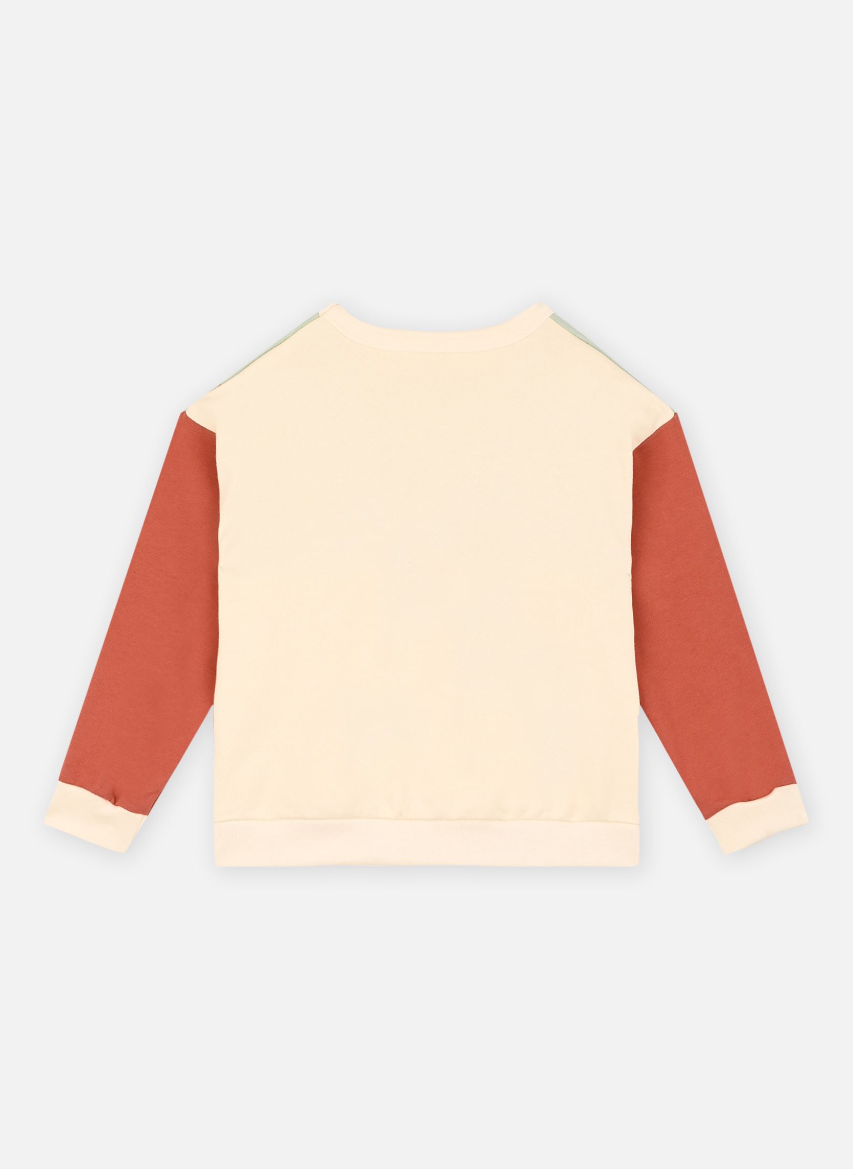 Hoodies Mael jongens wit Petit Bateau Hoodies Mael jongens wit Avalanche/Multico