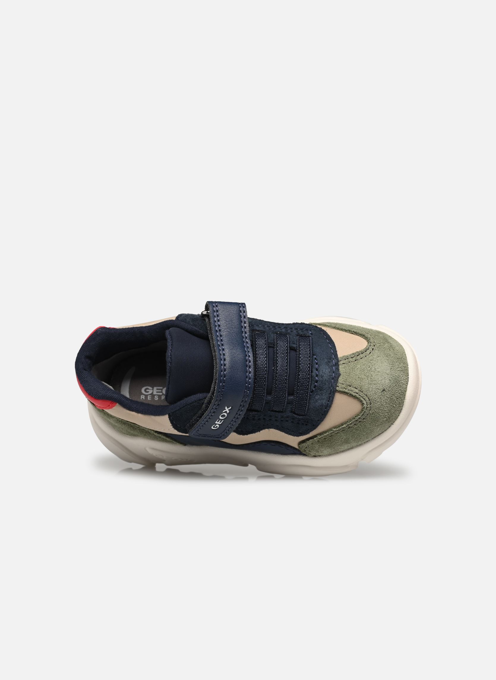 Baskets basses B Ciufciuf Boy B multicolore Geox Baskets basses B Ciufciuf Boy B multicolore Navy/Sage