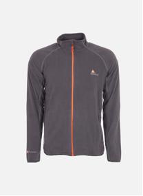 Vestes polaires Sweat polaire homme CAFONE GRIS homme gris Peak Mountain Vestes polaires Sweat polaire homme CAFONE GRIS homme gris Gris