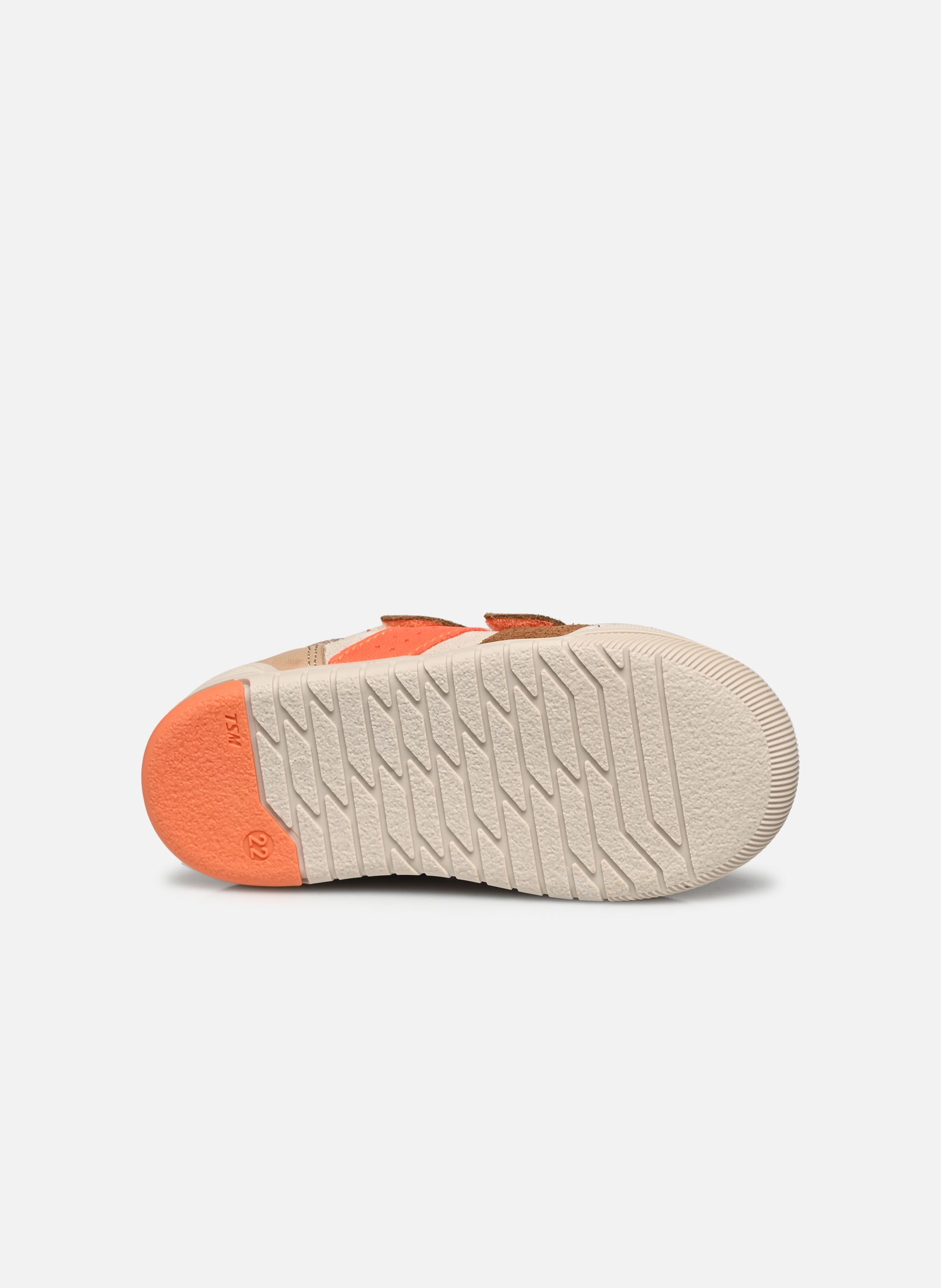 Baskets Jopyvel garçon beige Bopy Baskets Jopyvel garçon beige BEIGE/MULTI