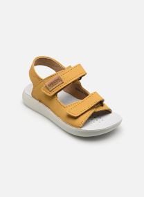 Sandales B Sandal Lightfloppy A garçon jaune