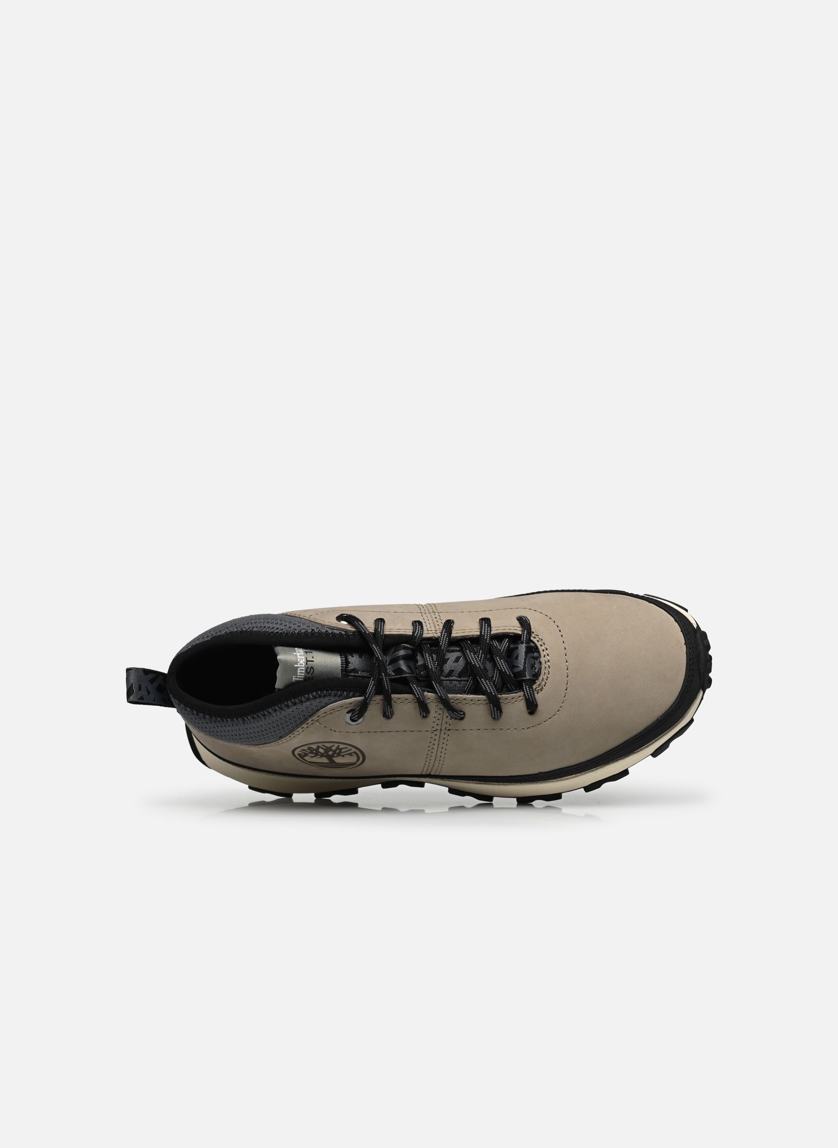 Geschnürte Stiefeletten Winsor TrailMID LACE SNEAKER herren grau Timberland Geschnürte Stiefeletten Winsor TrailMID LACE SNEAKER herren grau WINSOR TRAIL LIGHT TAUPE NUBUC