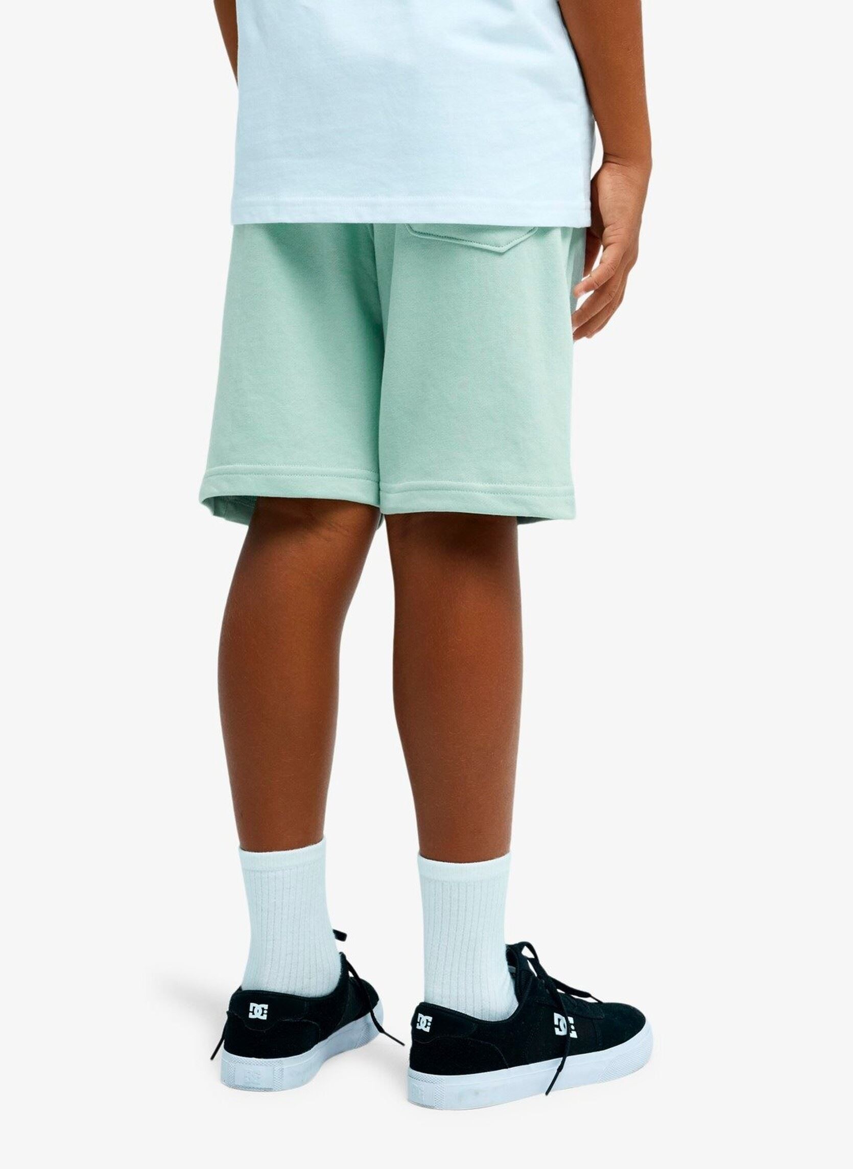 Sportbekleidung Easy Day Jogger Short Youth jungen blau Quiksilver Sportbekleidung Easy Day Jogger Short Youth jungen blau BLUE HAZE