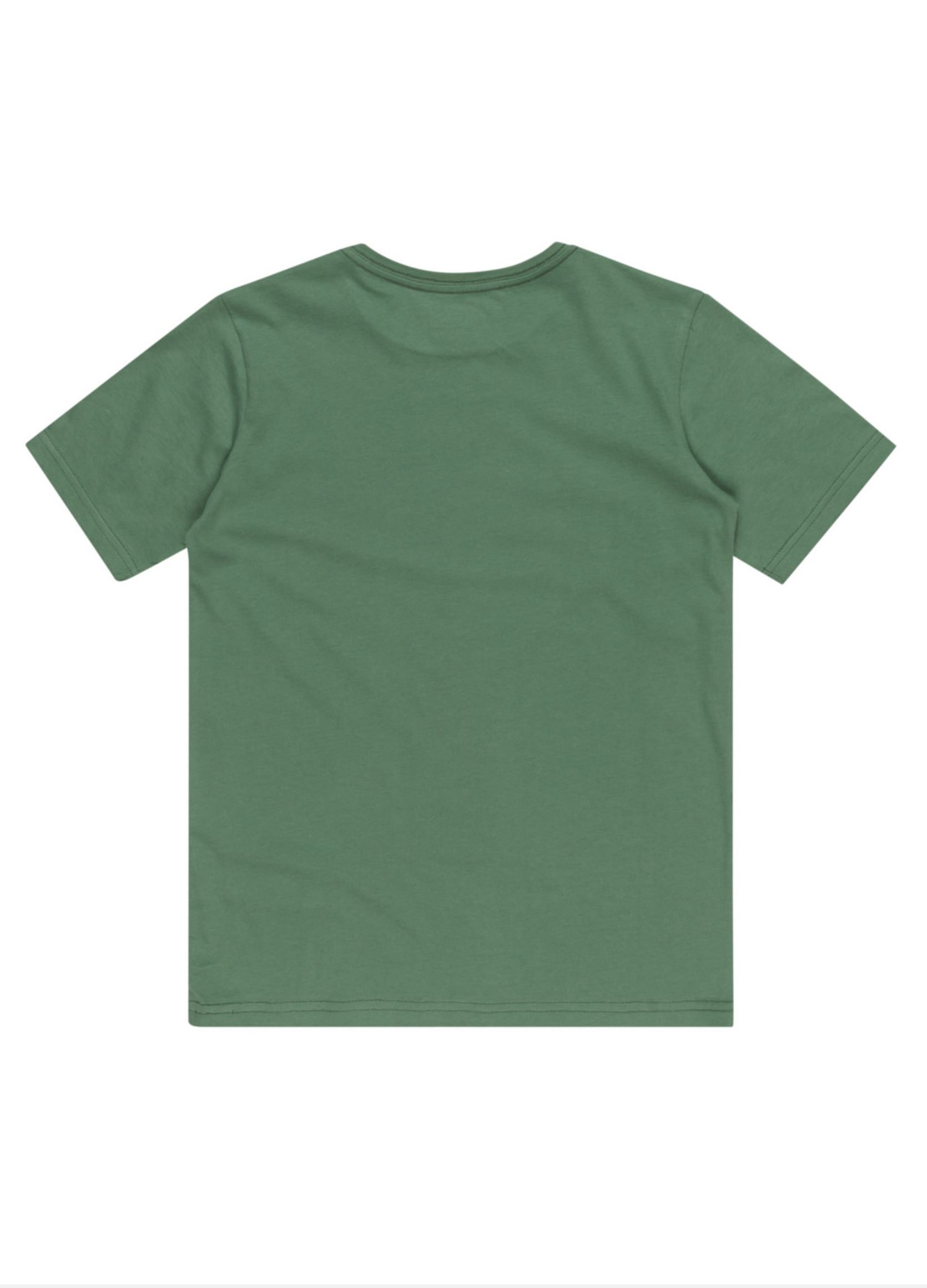 Tee-shirts Circle Up Ss Youth garçon vert Quiksilver Tee-shirts Circle Up Ss Youth garçon vert FROSTY SPRUCE