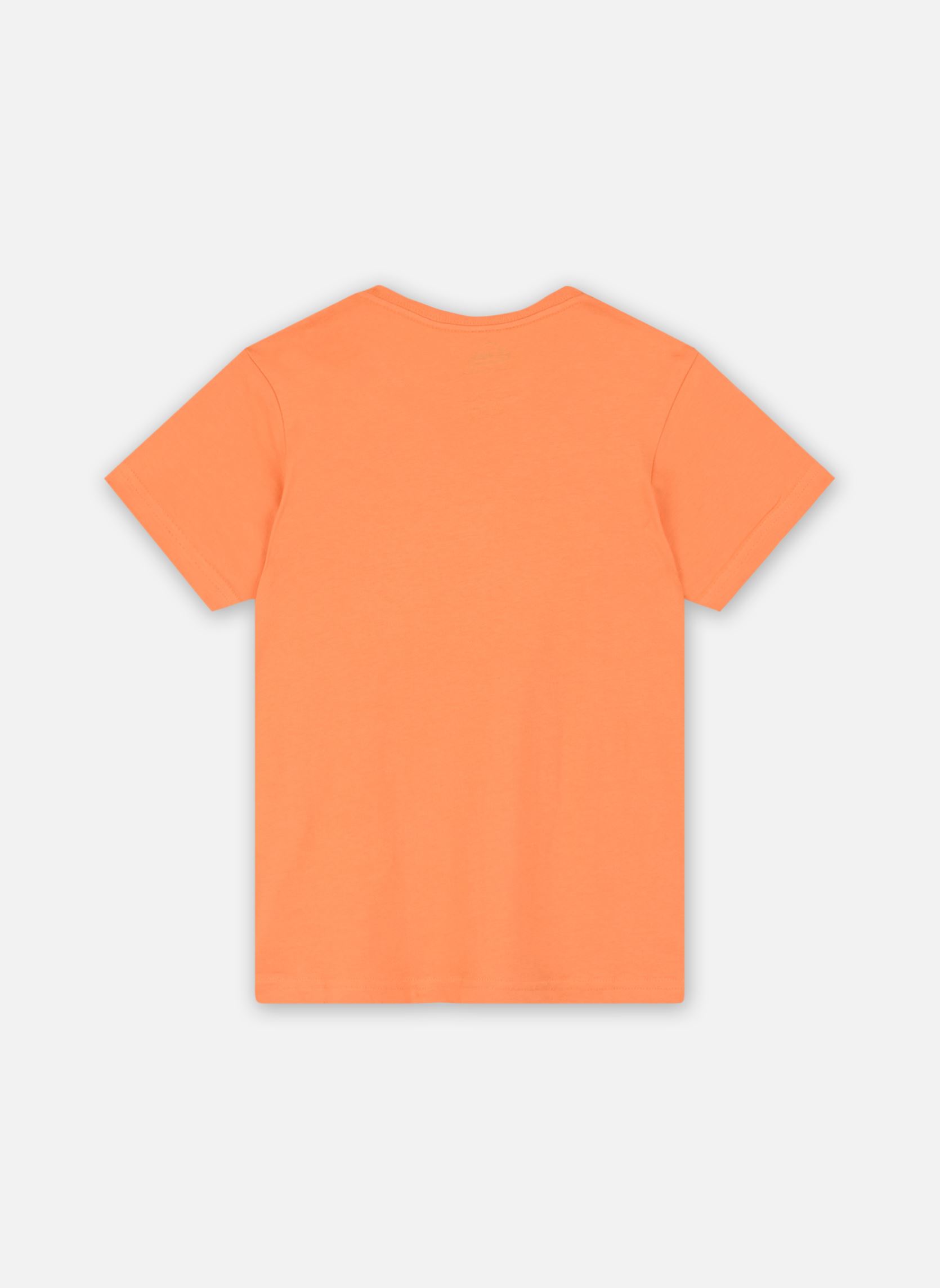 Tee-shirts Day Tripper Ss Boy garçon orange Quiksilver Tee-shirts Day Tripper Ss Boy garçon orange TANGERINE