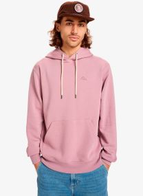Sweats à capuche Salt Water Hoodie homme vert