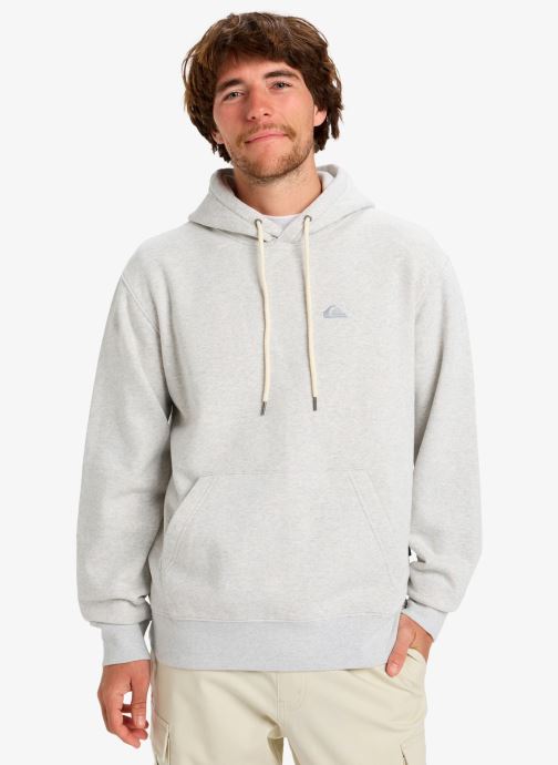 Quiksilver Sweats à capuche Salt Water Hoodie homme gris