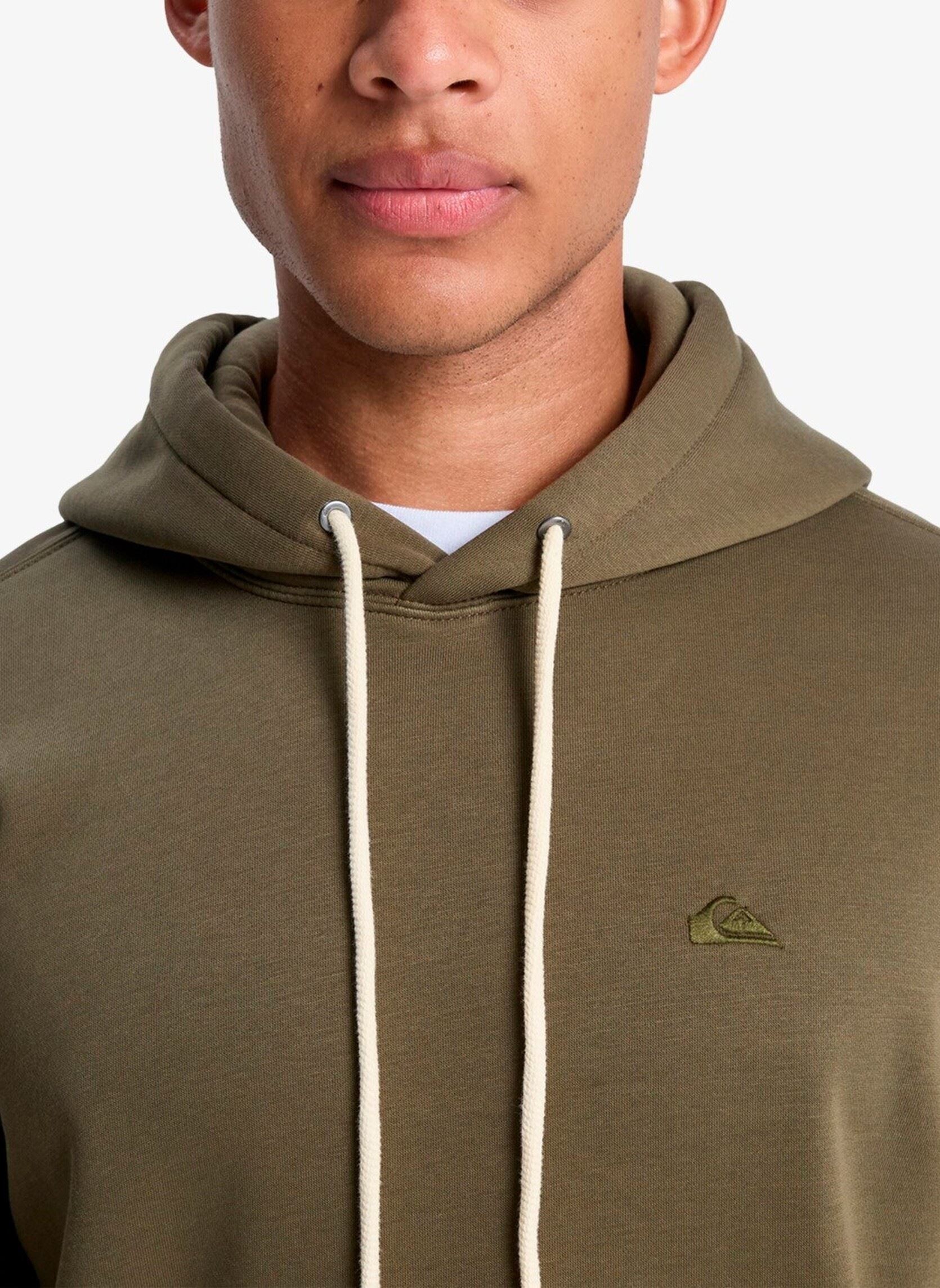 Sweats à capuche Salt Water Hoodie homme vert Quiksilver Sweats à capuche Salt Water Hoodie homme vert grape leaf