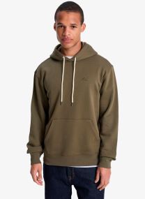 Sweats à capuche Salt Water Hoodie homme vert