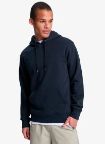 Sweats à capuche Salt Water Hoodie homme vert