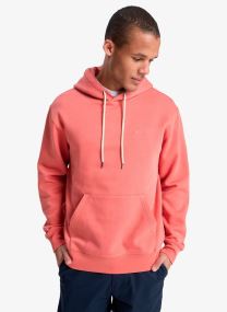 Sweats à capuche Salt Water Hoodie homme vert