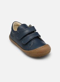 Baskets basses Cocoon Low VL bleu