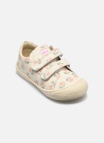 Baskets basses Cocoon Low VL bleu