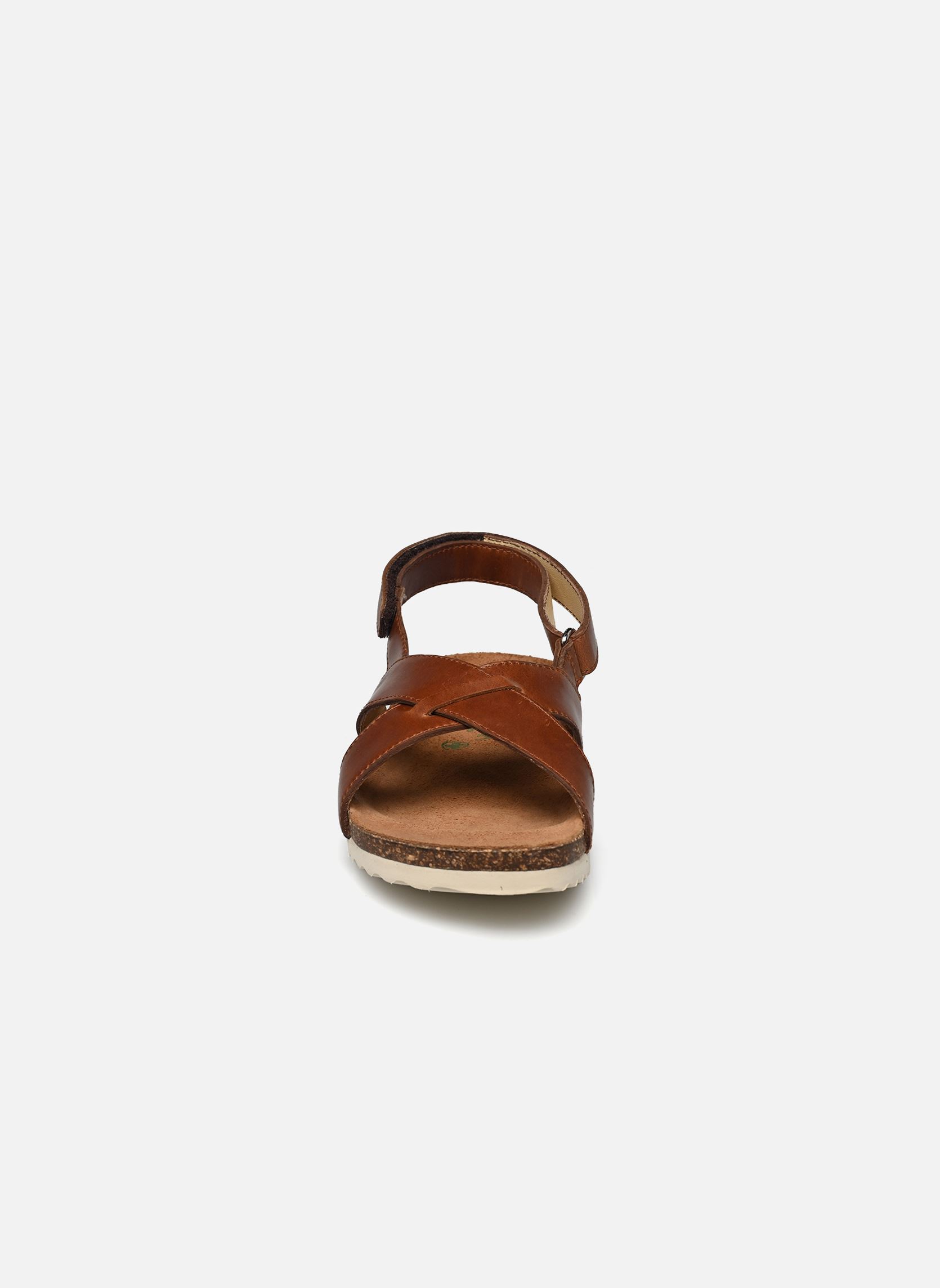 Sandalen Groot Cross jongens bruin Pom d Api Sandalen Groot Cross jongens bruin MARRON