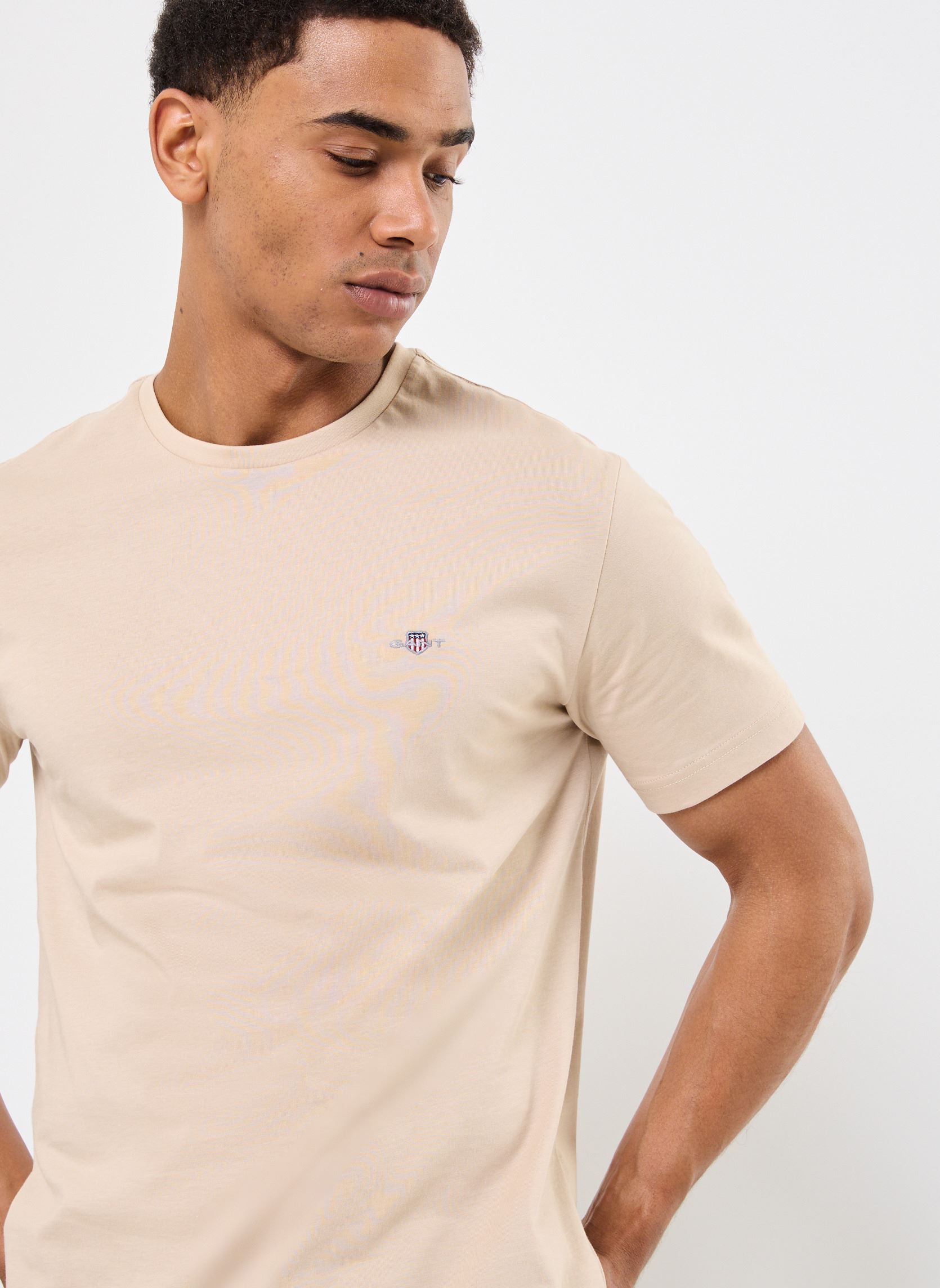 Tee-shirts manches courtes Reg Shield Ss T-Shirt homme beige GANT Tee-shirts manches courtes Reg Shield Ss T-Shirt homme beige GRIS CLAIR