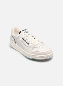 Sneaker Phase Court M herren grau