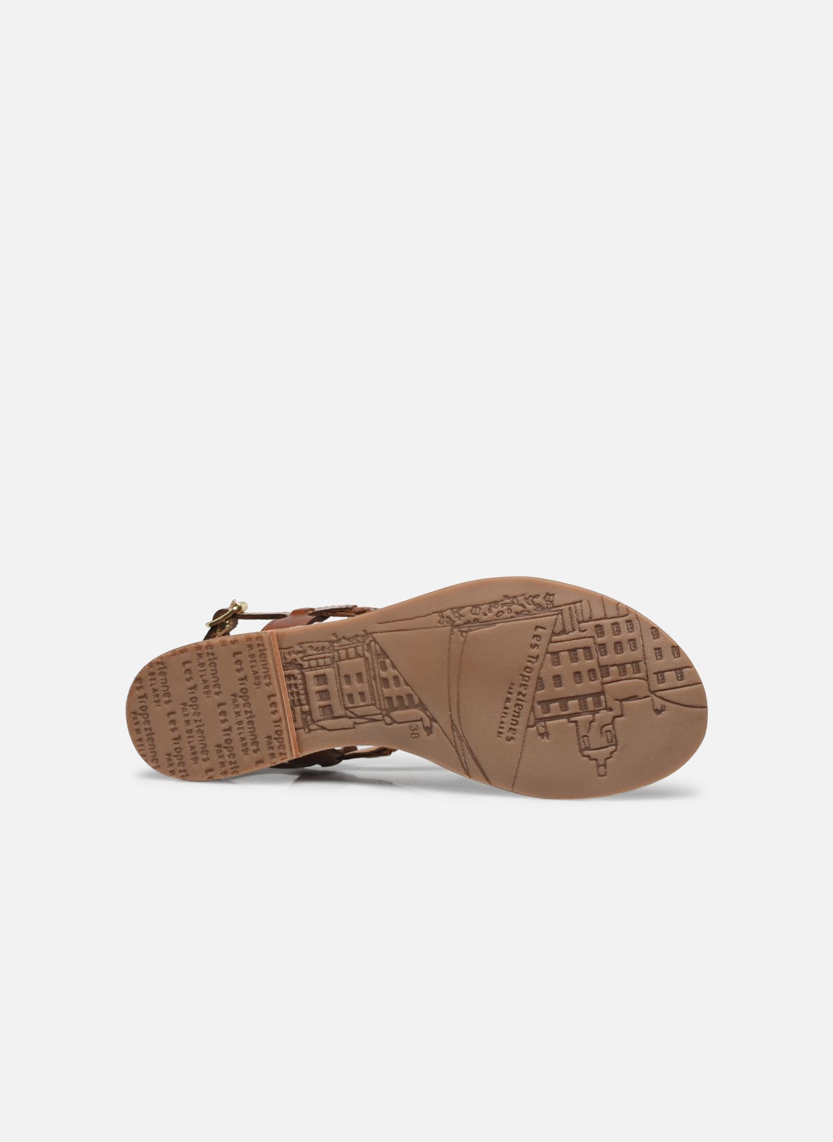 Sandali piatti HOMONGO donna marrone Les Tropéziennes par M Belarbi Sandali piatti HOMONGO donna marrone TAN-MULTI