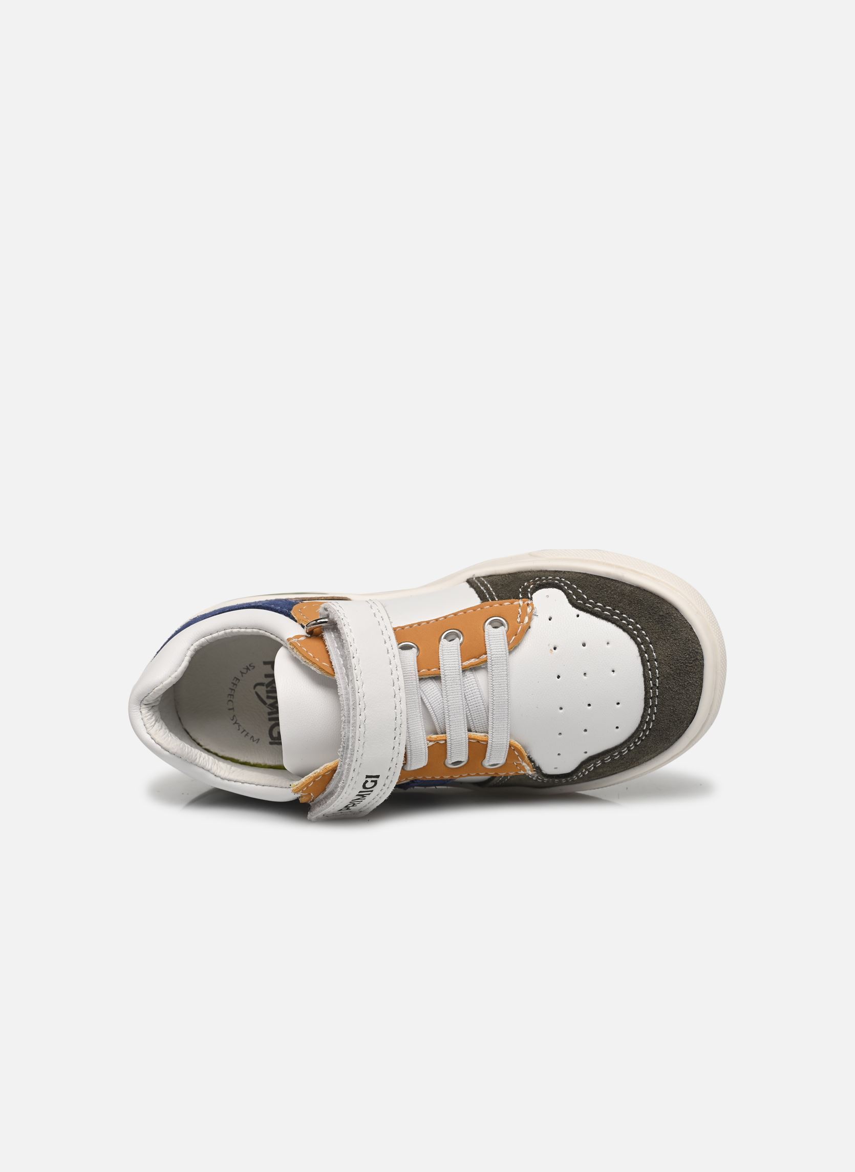 Baskets basses Baby Dude garçon multicolore Primigi Baskets basses Baby Dude garçon multicolore BIANCO/BOSCO