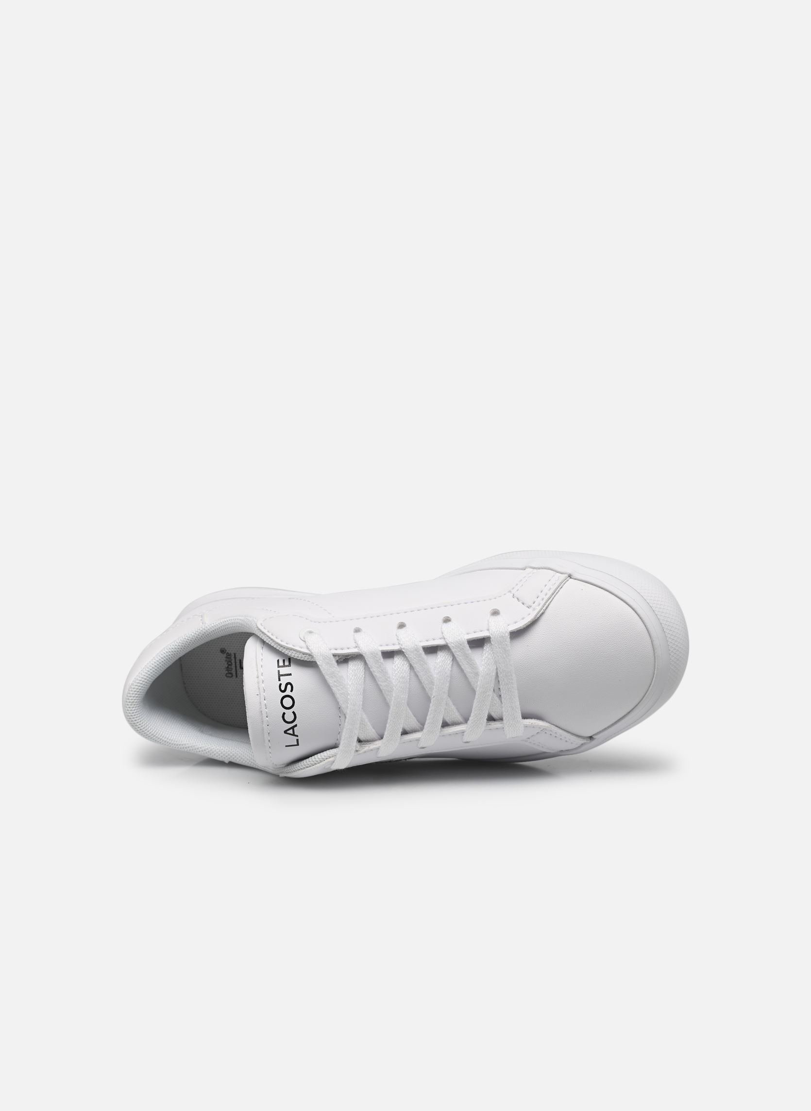 Baskets Powercourt SUC blanc Lacoste Baskets Powercourt SUC blanc wht/wht