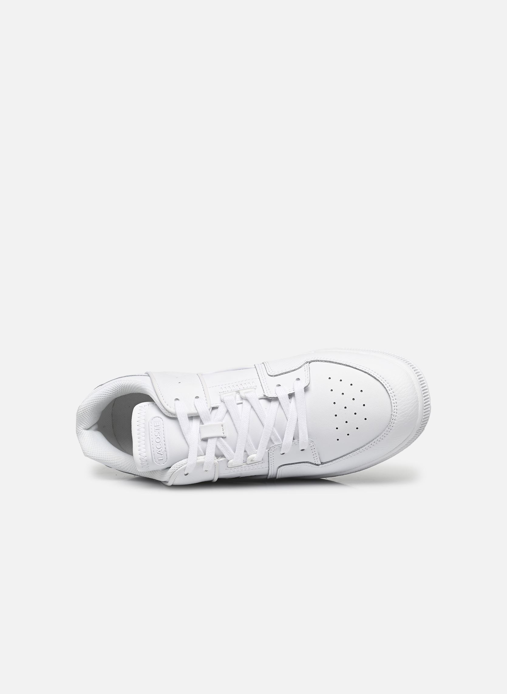 Baskets basses Court Cage M homme blanc Lacoste Baskets basses Court Cage M homme blanc wht/wht