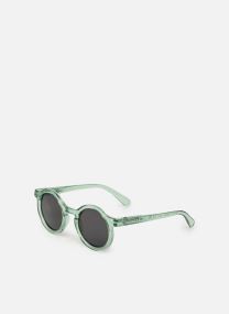 Lunettes de soleil Darla Sunglasses LW16005 garçon bleu