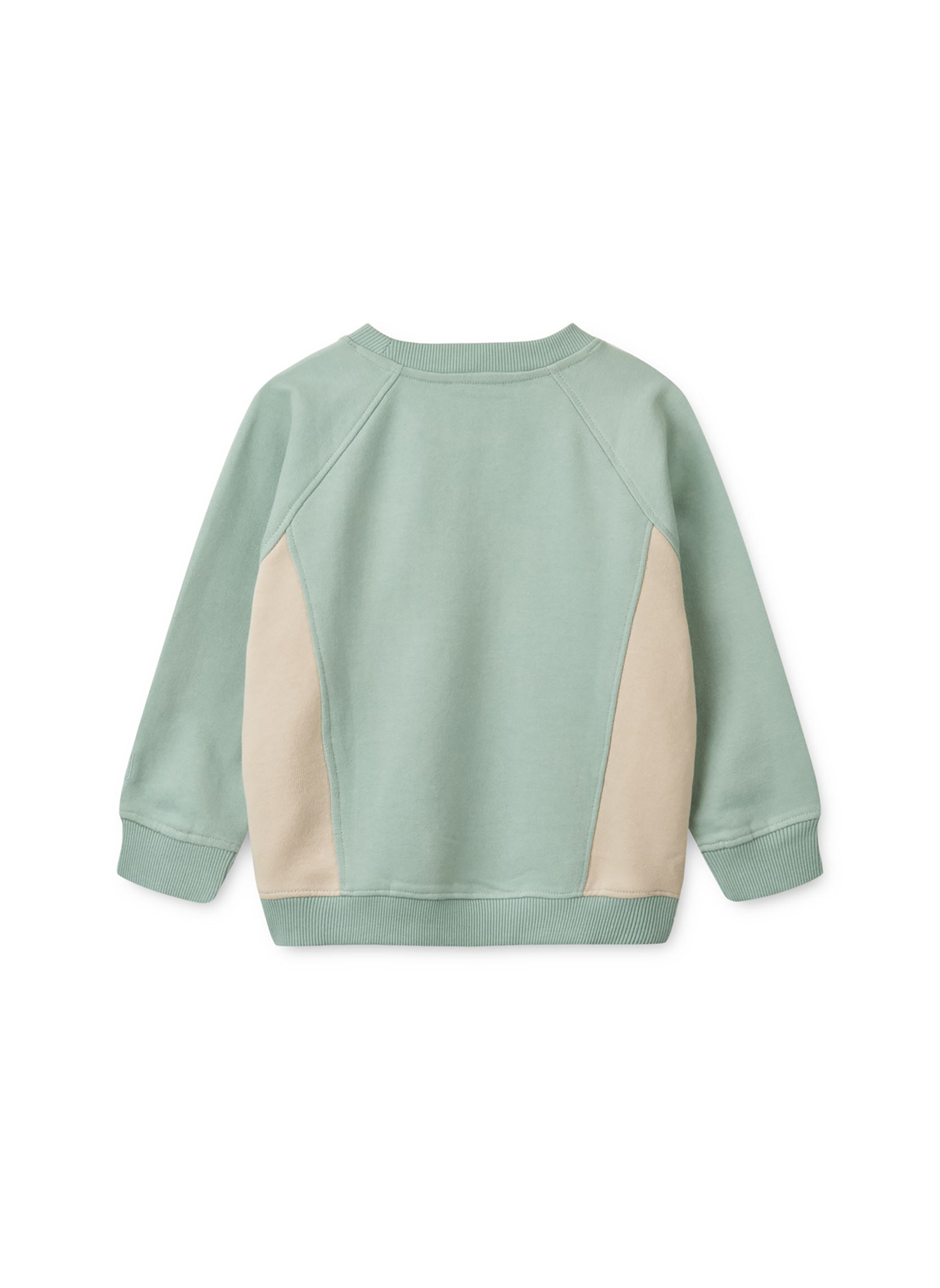 Kapuzenpullover Aude Placement Sweatshirt blau Liewood Kapuzenpullover Aude Placement Sweatshirt blau Ice blue / Sandy