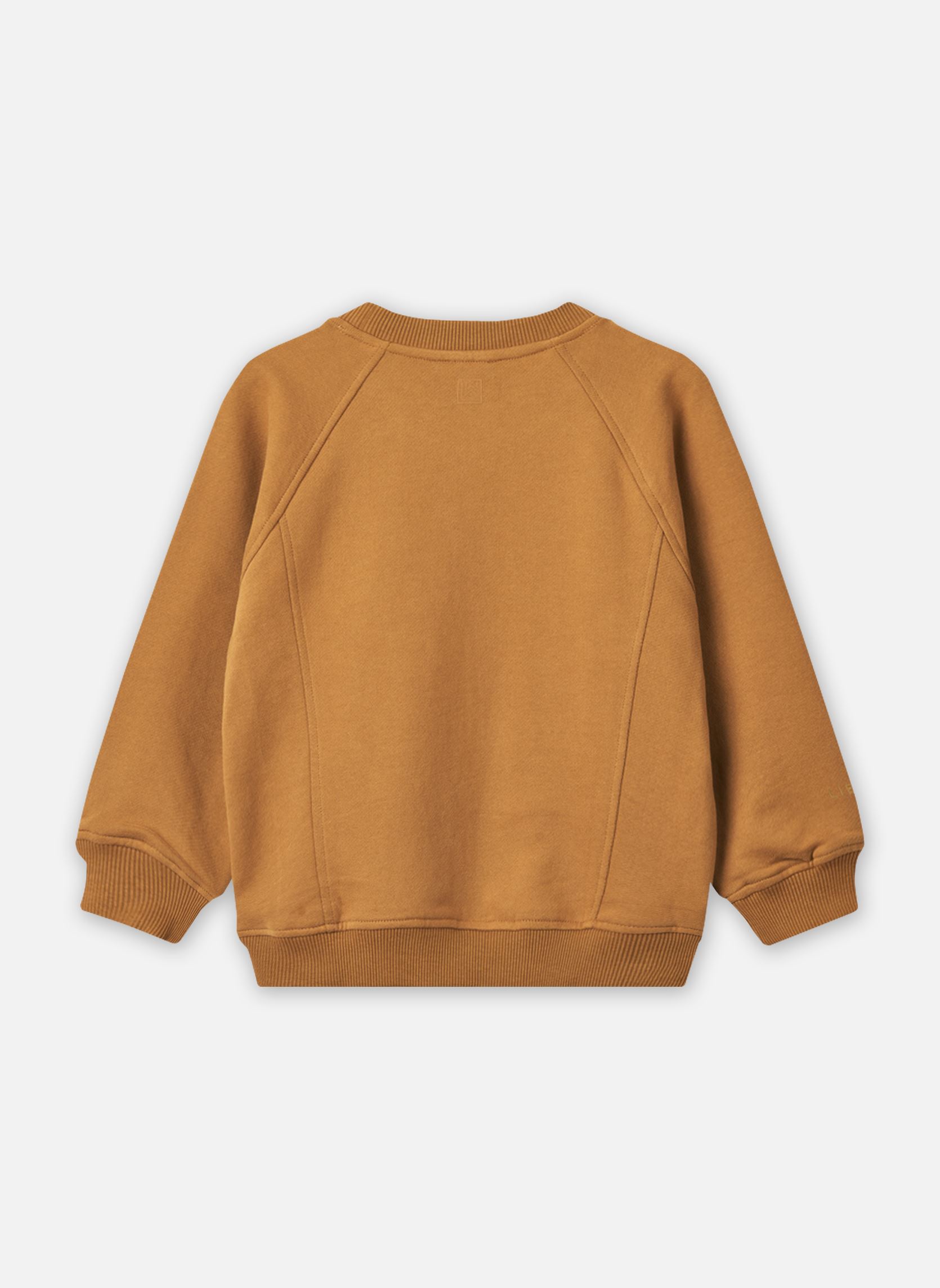 Kapuzenpullover Aude Placement Sweatshirt mehrfarbig Liewood Kapuzenpullover Aude Placement Sweatshirt mehrfarbig The liewood gang / Sandy