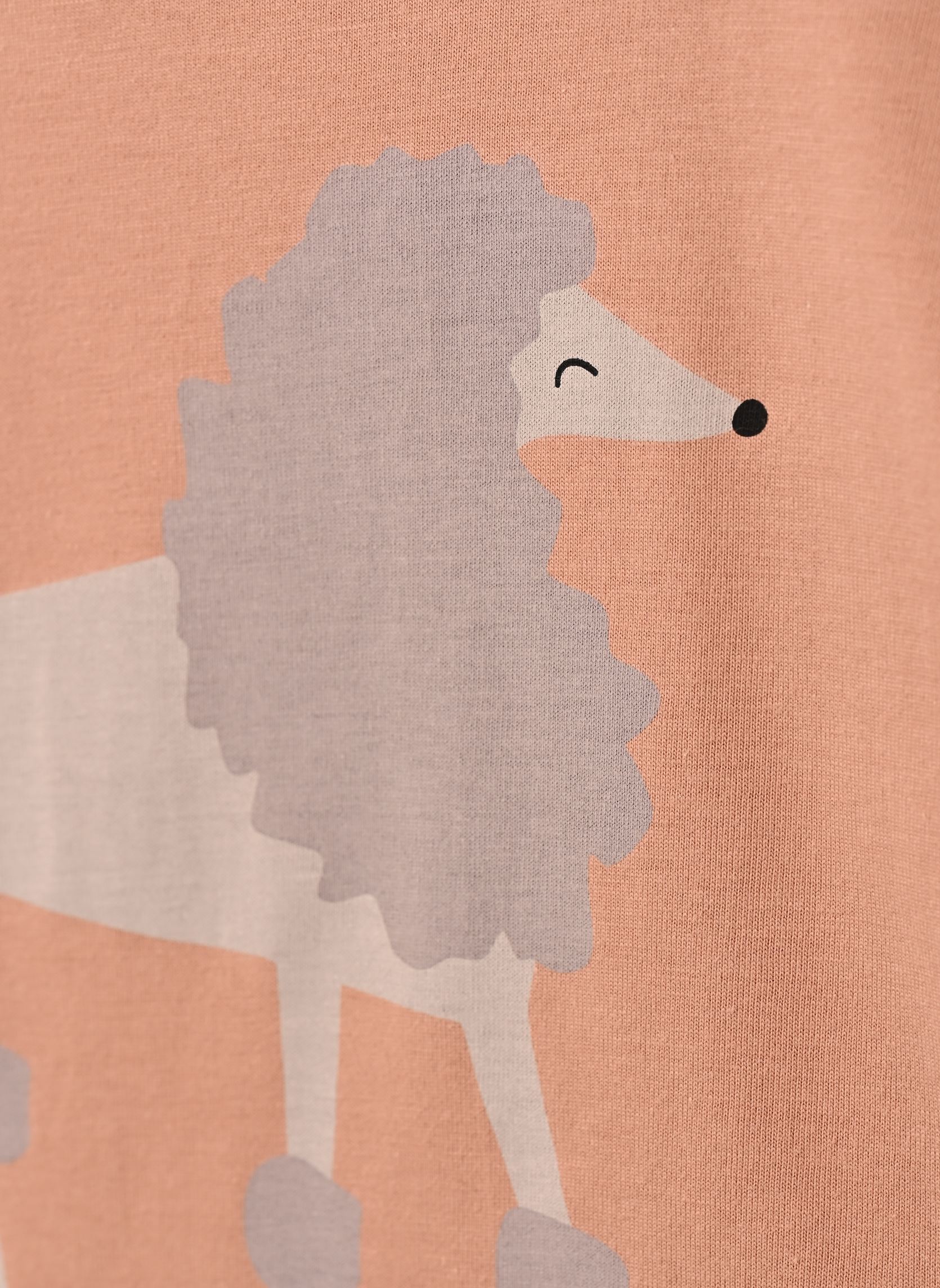 Tee-shirts manches courtes Apia Placement Shortsleeve T-shirt rose Liewood Tee-shirts manches courtes Apia Placement Shortsleeve T-shirt rose Paris mademoiselle / Pale tusc