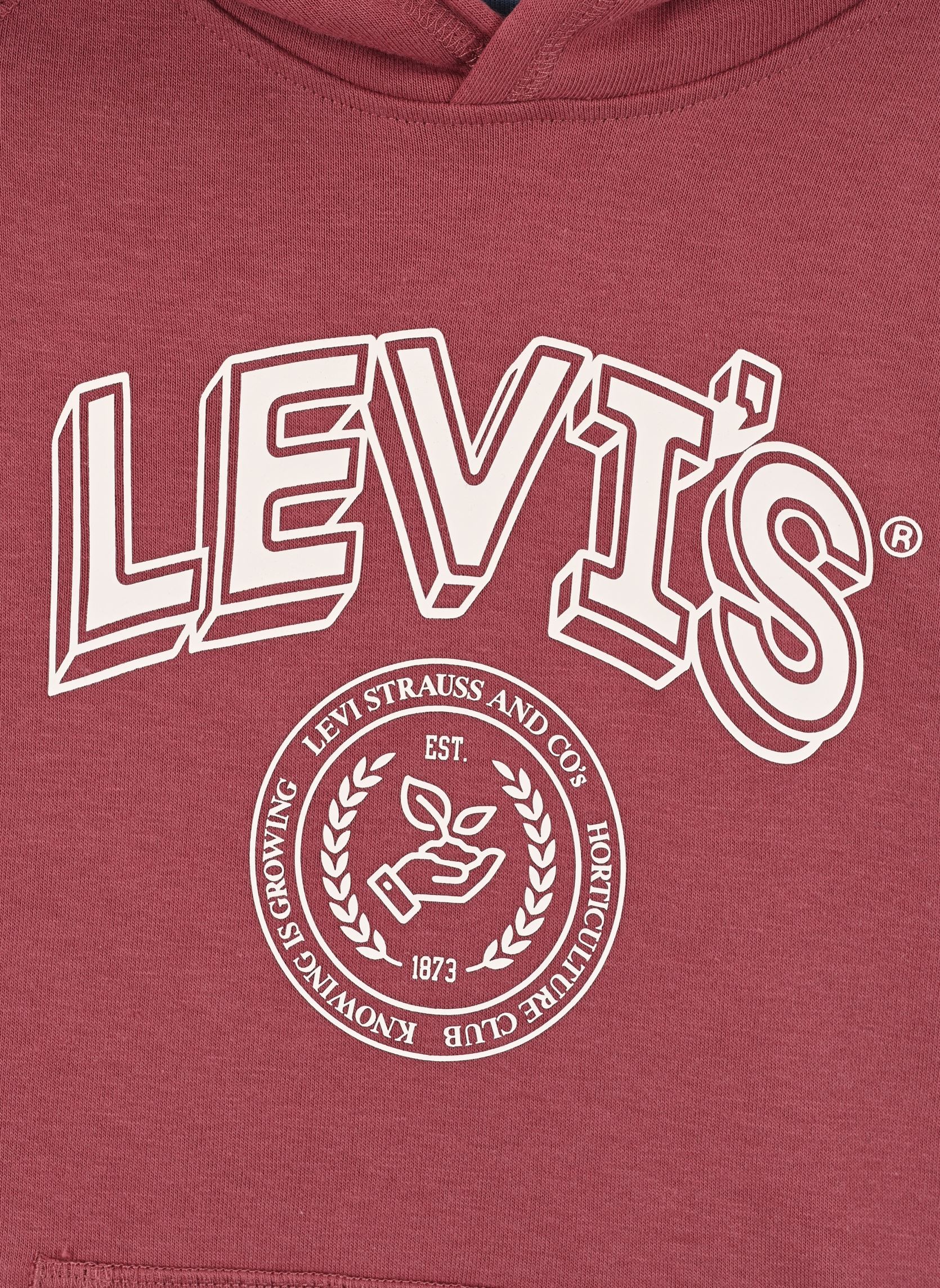 Kapuzenpullover Levi's Stripe On Sleeve Pullover Hoodie jungen schwarz Levi's Kids Kapuzenpullover Levi's Stripe On Sleeve Pullover Hoodie jungen schwarz ROAN ROUGE