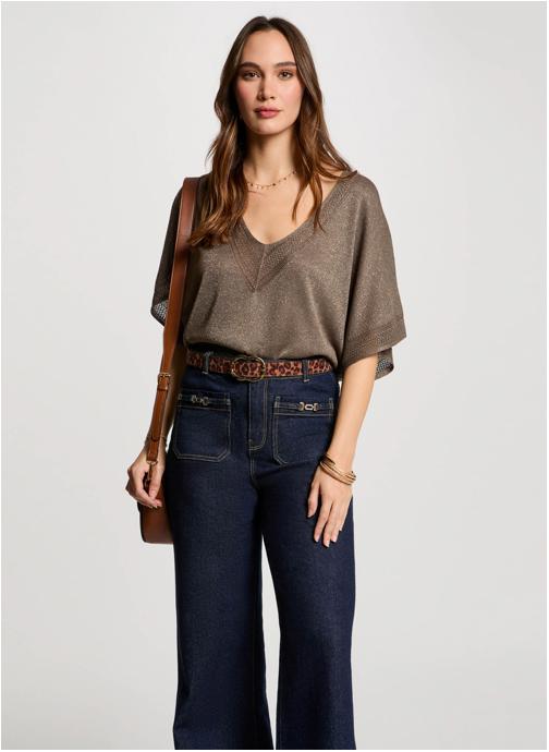 Morgan Pulls 241-MCHRIS femme gris