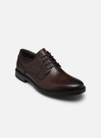 Derbies 13523 homme marron