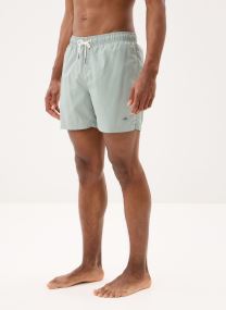 Zwemshorts Swim Shorts heren grijs
