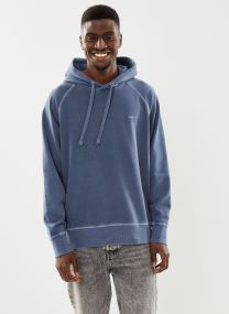 Kapuzenpullover Sunfaded Hoodie herren blau