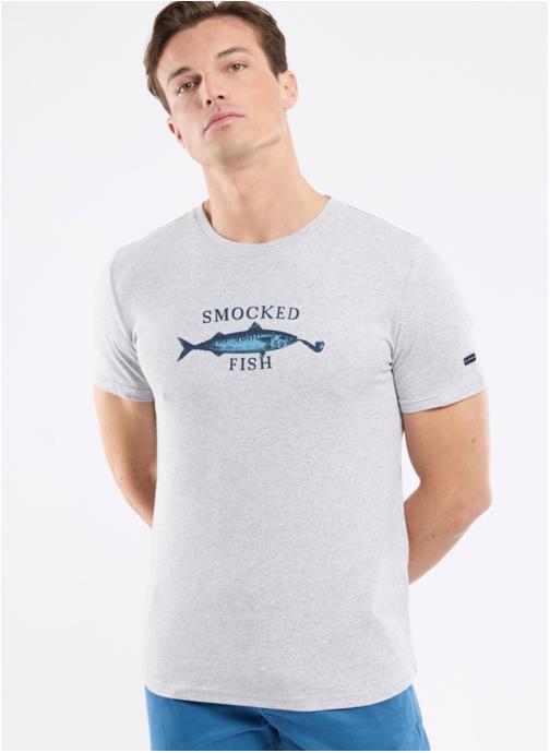 Armor Lux Tee-shirts T-shirt 76773 biodiversité/waterfall homme gris