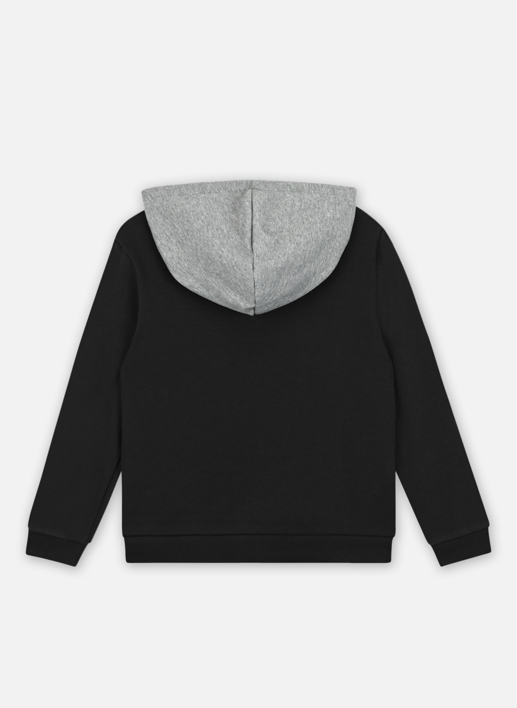 Sweats à capuche B Pp Colobk Hdy Tr garçon noir Puma Sweats à capuche B Pp Colobk Hdy Tr garçon noir PUMA BLACK