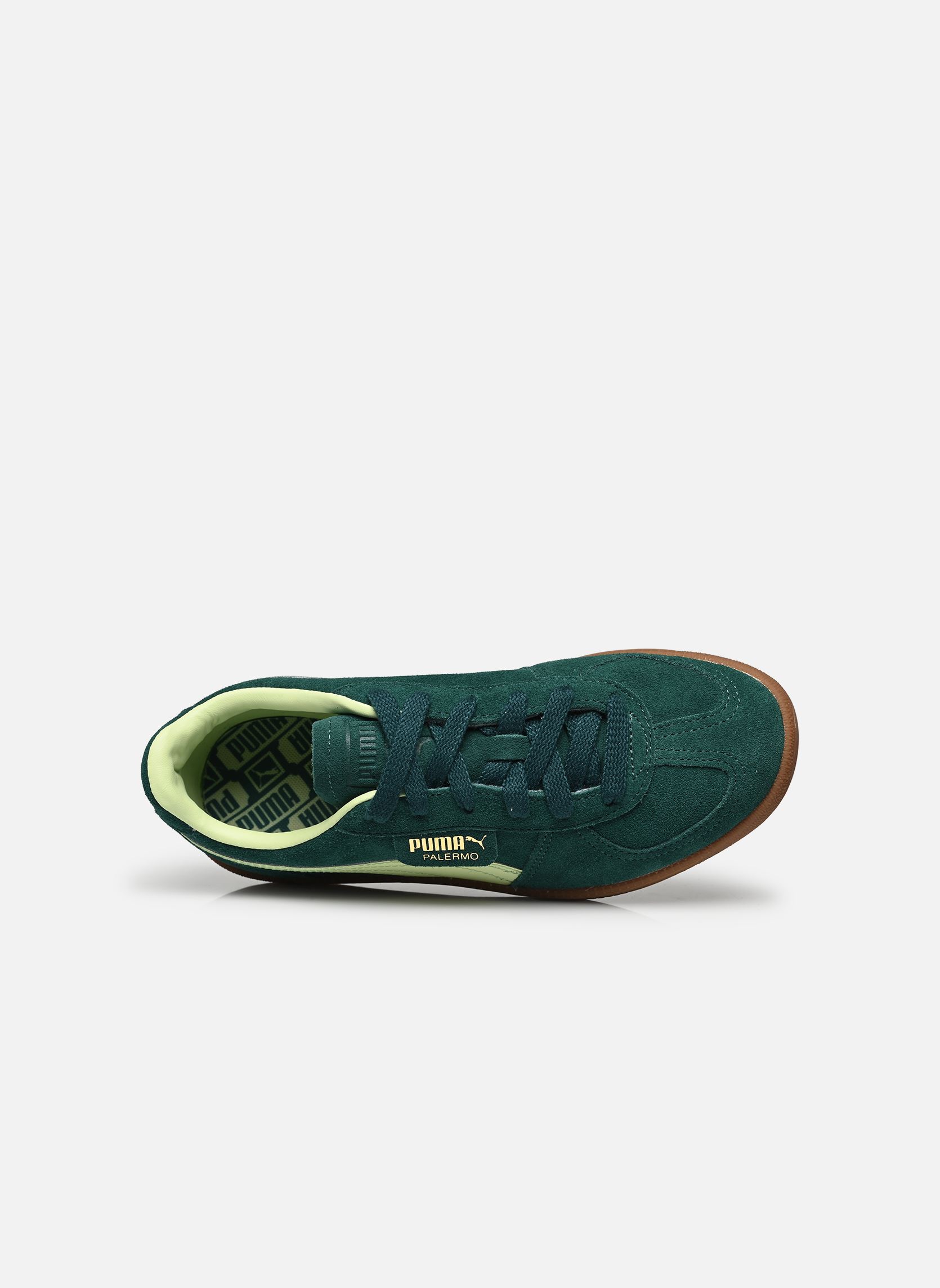 Baskets Palermo Jr vert Puma Baskets Palermo Jr vert DARK MYRTLE-COOL CUCUMBER