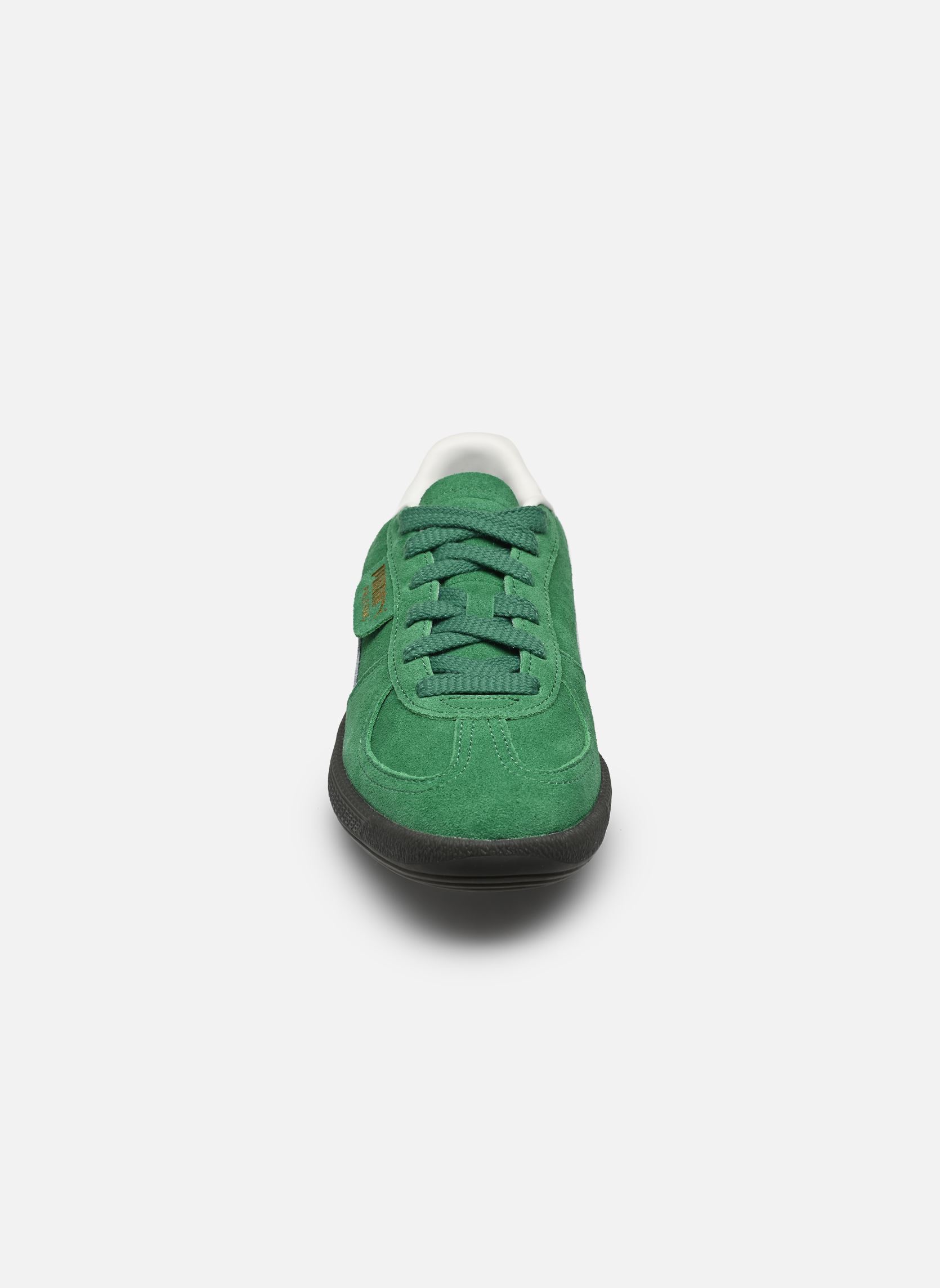 Sneaker Palermo Jr grün Puma Sneaker Palermo Jr grün ARCHIVE GREEN-PUMA WHITE