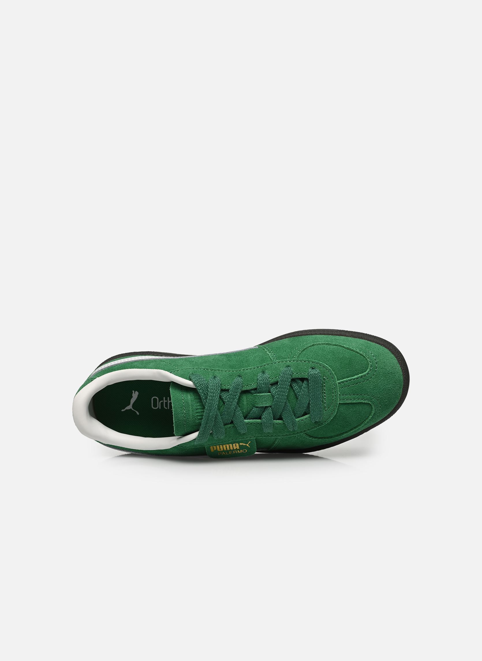 Sneaker Palermo Jr grün Puma Sneaker Palermo Jr grün ARCHIVE GREEN-PUMA WHITE