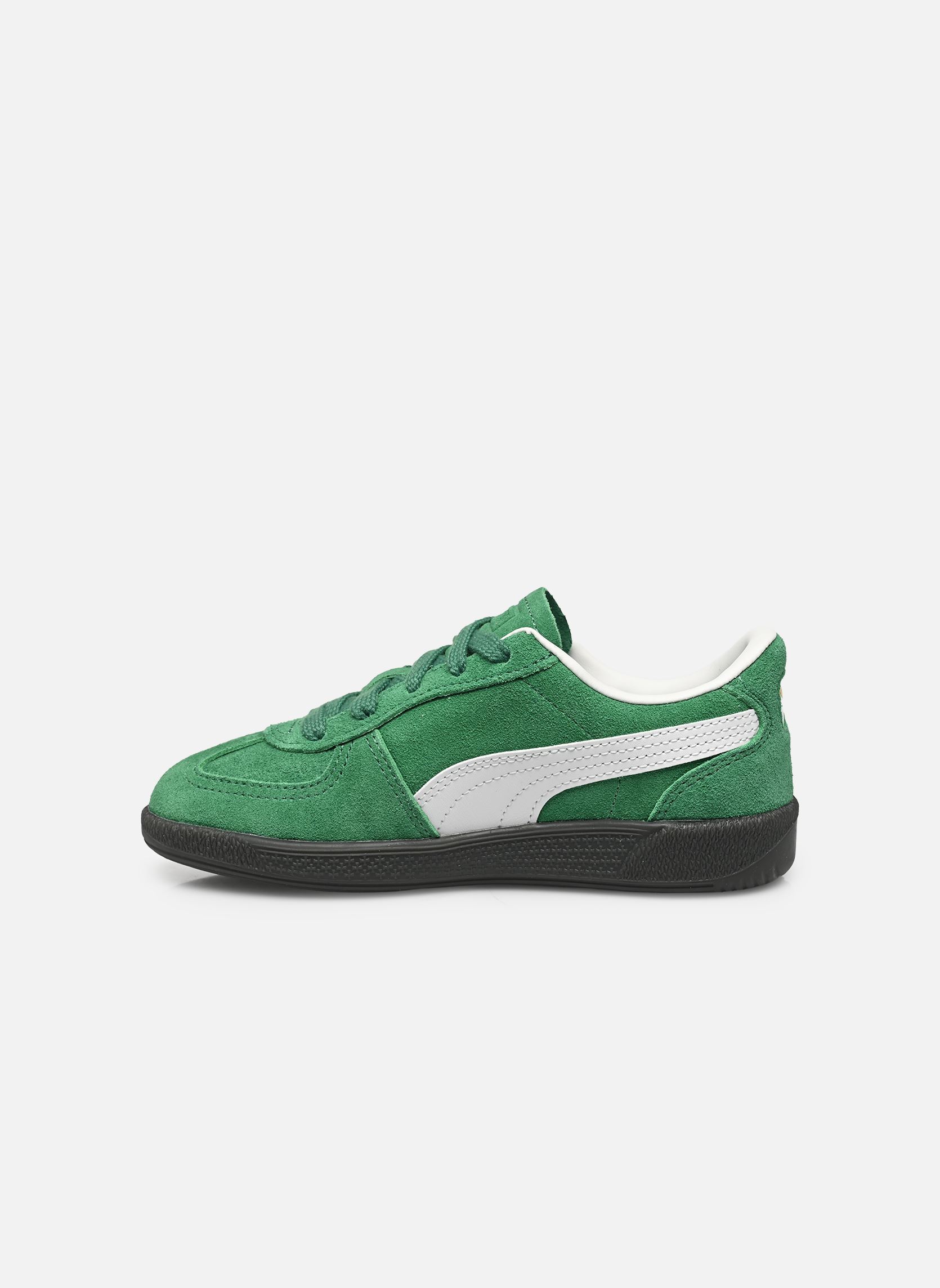 Baskets Palermo Ps vert Puma Baskets Palermo Ps vert ARCHIVE GREEN-PUMA WHITE