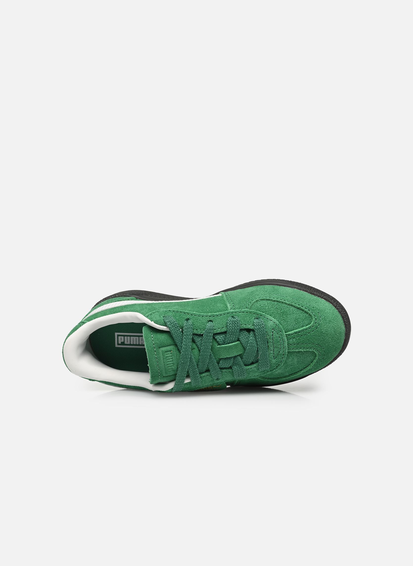Baskets Palermo Ps vert Puma Baskets Palermo Ps vert ARCHIVE GREEN-PUMA WHITE